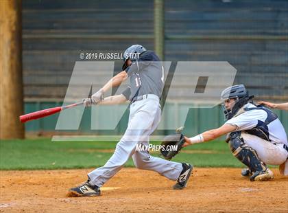 Thumbnail 2 in Kingfisher vs Tuttle photogallery.