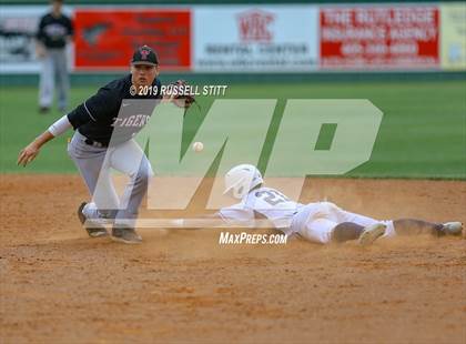 Thumbnail 2 in Kingfisher vs Tuttle photogallery.