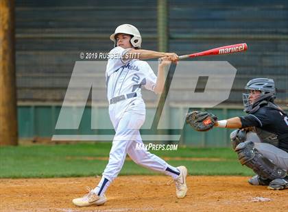 Thumbnail 3 in Kingfisher vs Tuttle photogallery.