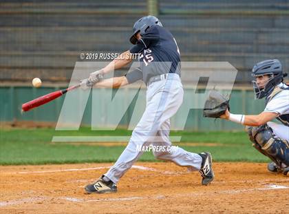 Thumbnail 1 in Kingfisher vs Tuttle photogallery.