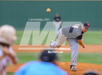 Thumbnail 3 in Kingfisher vs Tuttle photogallery.