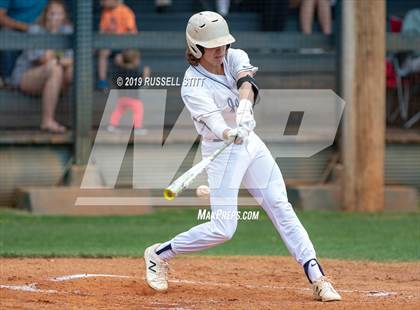 Thumbnail 2 in Kingfisher vs Tuttle photogallery.