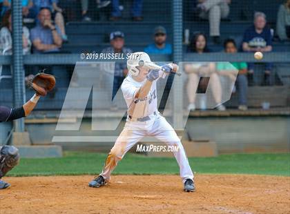 Thumbnail 3 in Kingfisher vs Tuttle photogallery.