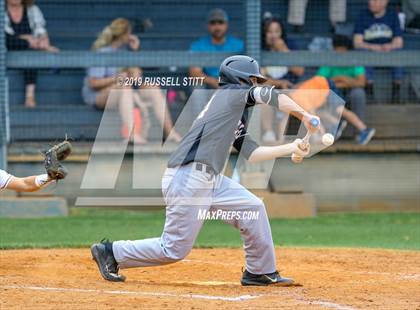 Thumbnail 1 in Kingfisher vs Tuttle photogallery.