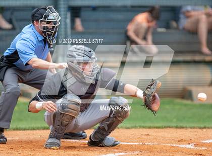 Thumbnail 1 in Kingfisher vs Tuttle photogallery.