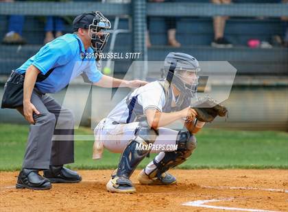 Thumbnail 3 in Kingfisher vs Tuttle photogallery.