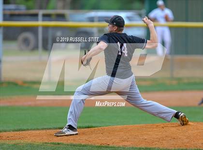 Thumbnail 2 in Kingfisher vs Tuttle photogallery.