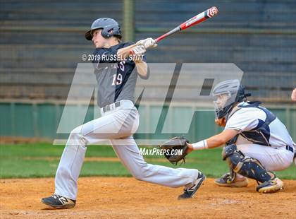 Thumbnail 1 in Kingfisher vs Tuttle photogallery.