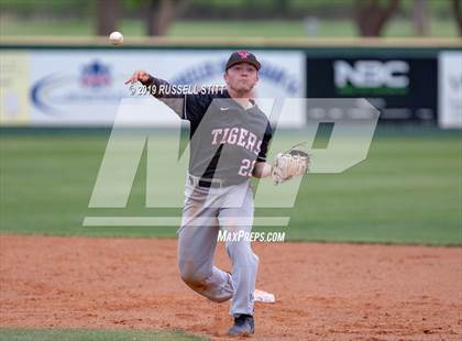 Thumbnail 3 in Kingfisher vs Tuttle photogallery.