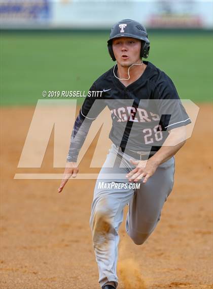 Thumbnail 1 in Kingfisher vs Tuttle photogallery.