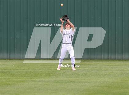 Thumbnail 2 in Kingfisher vs Tuttle photogallery.