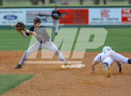 Thumbnail 3 in Kingfisher vs Tuttle photogallery.