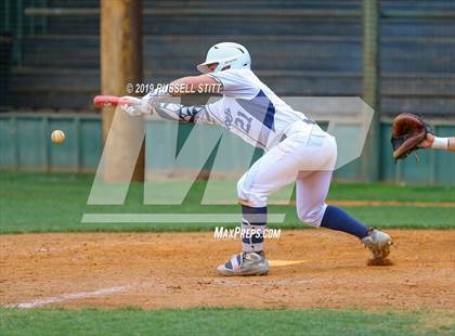 Thumbnail 2 in Kingfisher vs Tuttle photogallery.