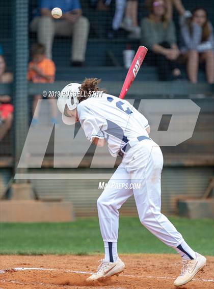 Thumbnail 2 in Kingfisher vs Tuttle photogallery.