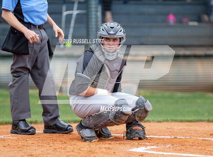 Thumbnail 3 in Kingfisher vs Tuttle photogallery.
