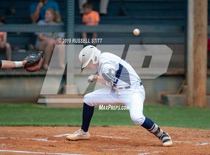 Thumbnail 2 in Kingfisher vs Tuttle photogallery.