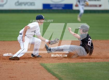 Thumbnail 3 in Kingfisher vs Tuttle photogallery.