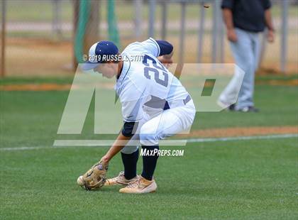 Thumbnail 1 in Kingfisher vs Tuttle photogallery.
