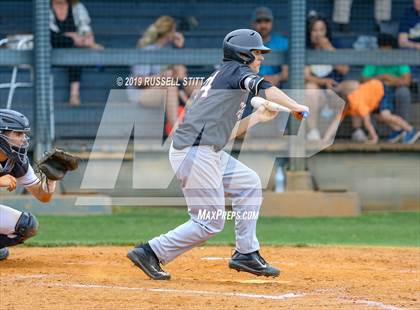 Thumbnail 3 in Kingfisher vs Tuttle photogallery.