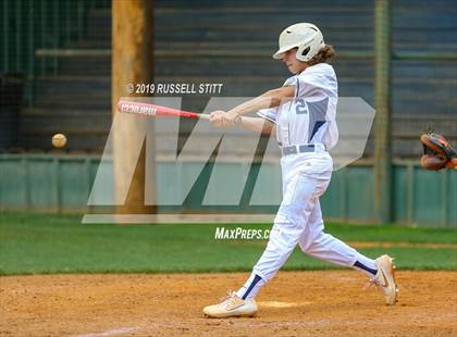 Thumbnail 1 in Kingfisher vs Tuttle photogallery.