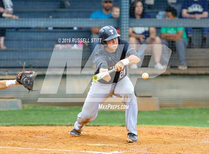 Thumbnail 2 in Kingfisher vs Tuttle photogallery.