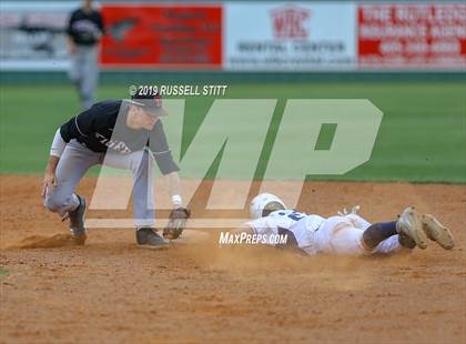 Thumbnail 1 in Kingfisher vs Tuttle photogallery.