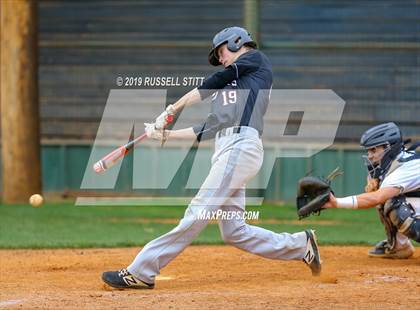 Thumbnail 3 in Kingfisher vs Tuttle photogallery.