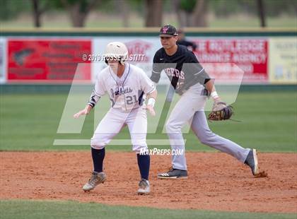 Thumbnail 1 in Kingfisher vs Tuttle photogallery.