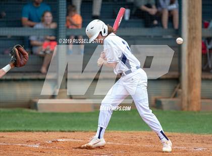 Thumbnail 1 in Kingfisher vs Tuttle photogallery.