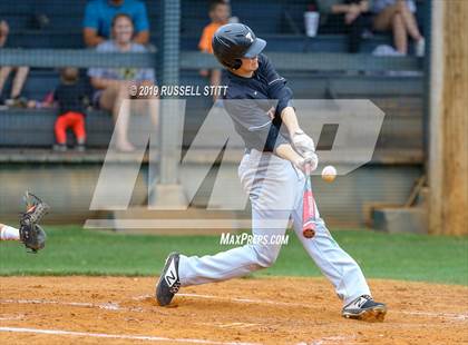 Thumbnail 3 in Kingfisher vs Tuttle photogallery.