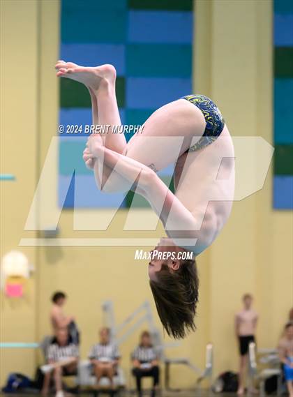 Thumbnail 2 in CHSAA 4A Boys Diving - State Championship photogallery.