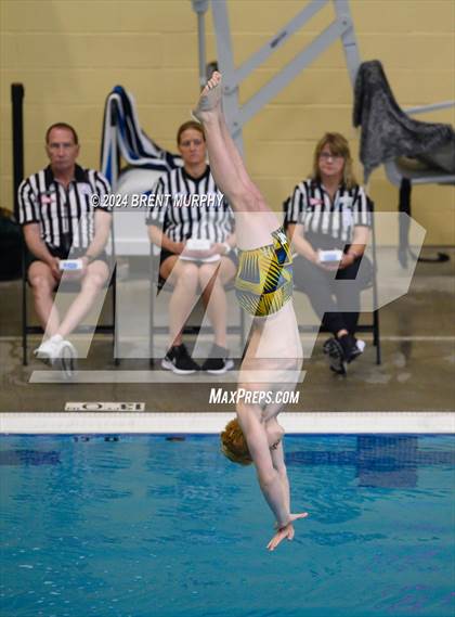 Thumbnail 1 in CHSAA 4A Boys Diving - State Championship photogallery.