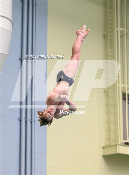Thumbnail 1 in CHSAA 4A Boys Diving - State Championship photogallery.