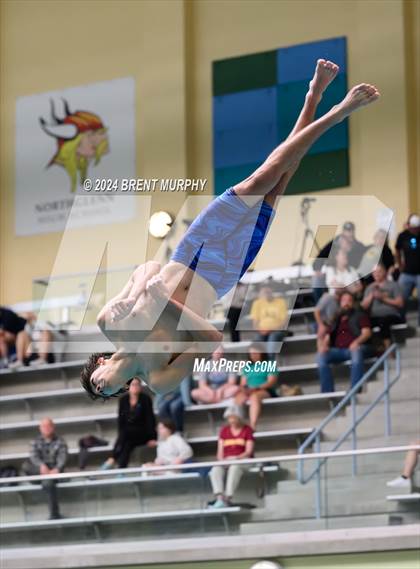 Thumbnail 1 in CHSAA 4A Boys Diving - State Championship photogallery.