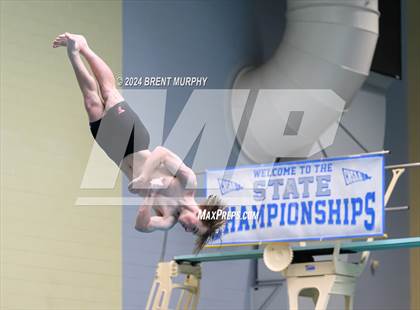 Thumbnail 2 in CHSAA 4A Boys Diving - State Championship photogallery.