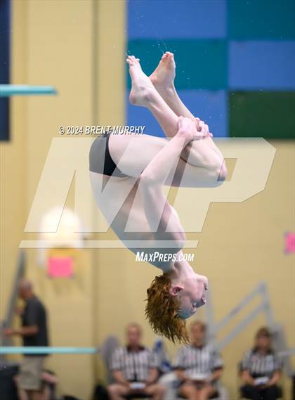 Thumbnail 2 in CHSAA 4A Boys Diving - State Championship photogallery.