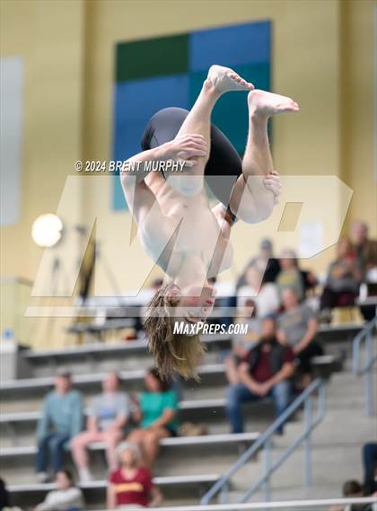 Thumbnail 2 in CHSAA 4A Boys Diving - State Championship photogallery.