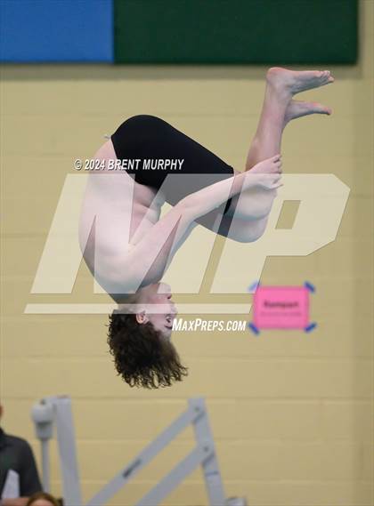 Thumbnail 3 in CHSAA 4A Boys Diving - State Championship photogallery.
