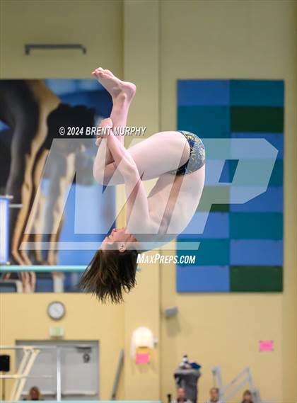 Thumbnail 2 in CHSAA 4A Boys Diving - State Championship photogallery.