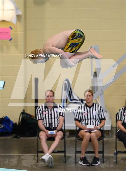 Thumbnail 3 in CHSAA 4A Boys Diving - State Championship photogallery.