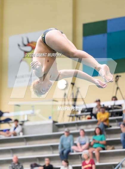 Thumbnail 3 in CHSAA 4A Boys Diving - State Championship photogallery.