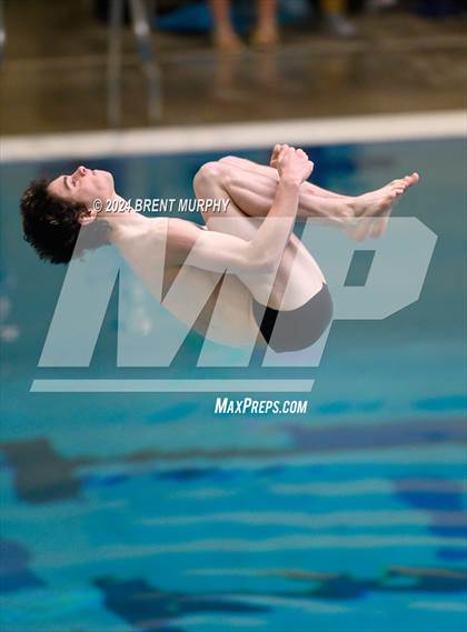 Thumbnail 3 in CHSAA 4A Boys Diving - State Championship photogallery.