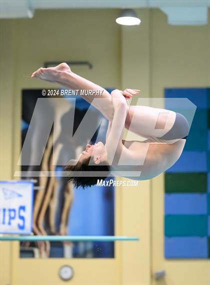 Thumbnail 1 in CHSAA 4A Boys Diving - State Championship photogallery.