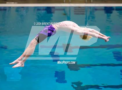Thumbnail 3 in CHSAA 4A Boys Diving - State Championship photogallery.