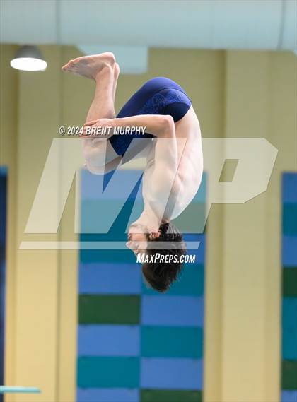 Thumbnail 3 in CHSAA 4A Boys Diving - State Championship photogallery.