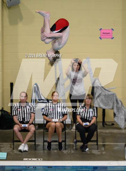 Thumbnail 2 in CHSAA 4A Boys Diving - State Championship photogallery.
