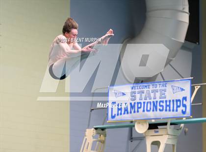 Thumbnail 1 in CHSAA 4A Boys Diving - State Championship photogallery.