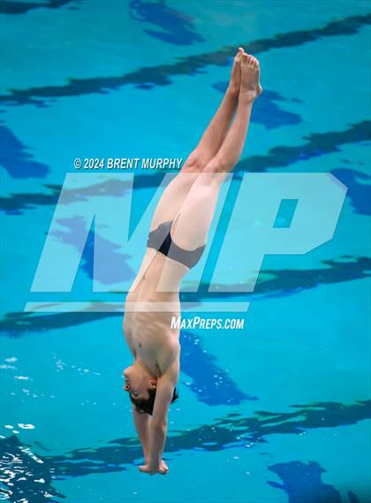 Thumbnail 3 in CHSAA 4A Boys Diving - State Championship photogallery.