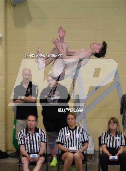 Thumbnail 2 in CHSAA 4A Boys Diving - State Championship photogallery.