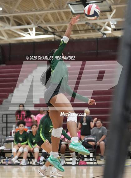 Thumbnail 3 in JV: Rudder @ A&M Consolidated photogallery.